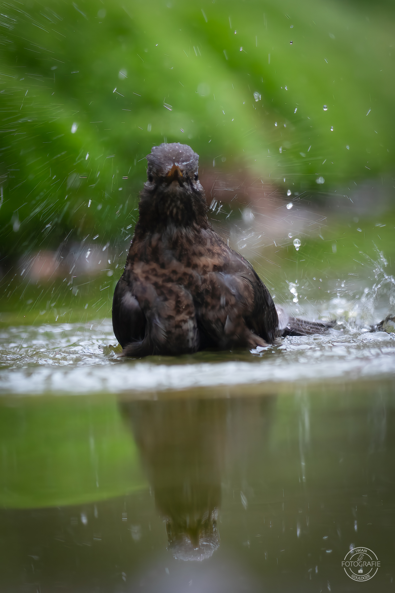 23 oktober 2022 105030 1R2A9649 bewerkt bewerkt